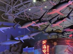 -烟台海昌鲸鲨海洋公园