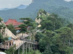 -大芦花风景区
