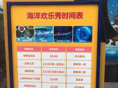 -海合安成都极地海洋公园