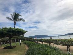 -三亚亚龙湾天域度假酒店