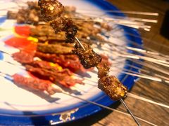 肥瘦-多寿小电烤