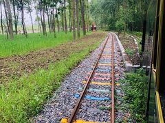 -合肥滨湖国家森林公园