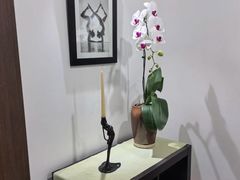 -Isofit 普拉提·婵柔工作室