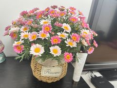 -循礼门鲜花花市(武汉循礼门店)