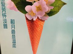 -野人先生现做冰淇淋(北京环宇荟店)