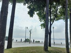-深圳湾公园(南山区)
