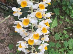 -南通洲际绿博园