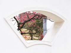 -梅花山(明孝陵内)