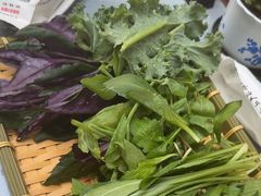 -慢丽江·云南野生菌土鸡锅(付家庄店)