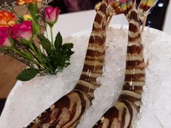 斑节虾皇-洋房火锅(新天地店)
