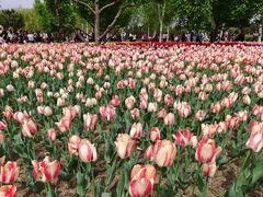 -长春公园(普阳街道)