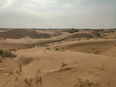 -银肯塔拉沙漠生态旅游景区