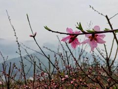 -梦娜斯庄园