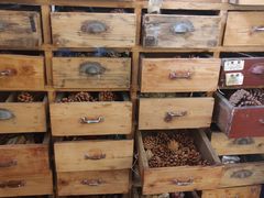 -知物癖(牛王庙店)