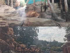-杭州长乔极地海洋公园