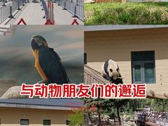 -石家庄市动物园