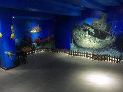 -船奇蒸汽海鲜·闽菜(八市海鲜总店)