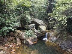 -鼎湖山风景区