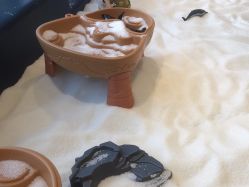 点击看大图 -超级奈尔宝SUPER NEOBIO(杭州星光店)