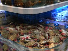 -大众海鲜(巨龙北路店)
