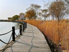 -野鸭湖国家湿地公园