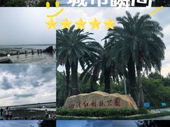 -宝安西湾红树林湿地公园