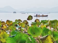 -湖畔居茶楼(湖滨店)