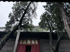 -关林