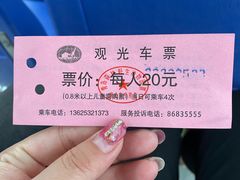 -青岛森林野生动物世界