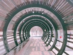 -永定河休闲森林公园