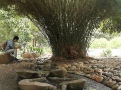 -成都市活水公园