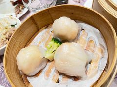 -金汇酒楼(中山东区店)