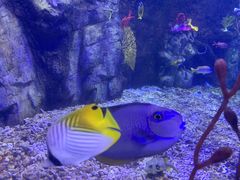 -太平洋海底世界