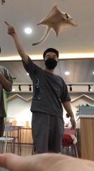 -Moni星球萌宠·小马宝莉·灵蛇·高端高阶全萌宠互动体验俱乐部(红豆国际广场店)