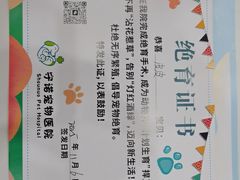 -守诺宠物医院·眼科· 神经外科·爬宠专科(虹口店)