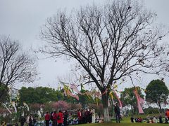-凤凰沟景区