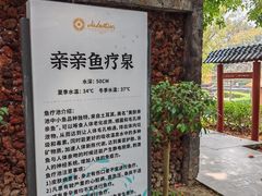 -罗浮山嘉宝田森林温泉度假酒店