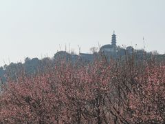 -苏州上方山国家森林公园