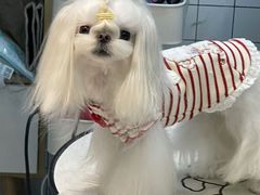 -萌宠主义宠物生活馆(金山路店)