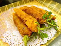 -丁老爷子苏香圆