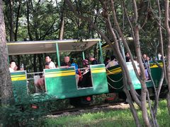 -南戴河国际娱乐中心