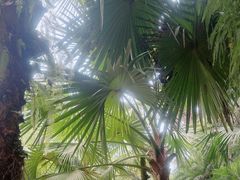 -杭州半山国家森林公园