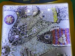 -海合安青岛极地海洋公园