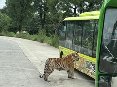 -西安秦岭野生动物园