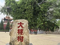 -大槐树寻根祭祖园
