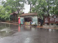 -大屏嶂森林公园