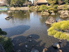 -水前寺成趣园