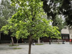 -万寿八仙宫