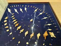 -青岛贝壳博物馆