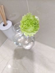 -HEYAN荷妍专业脱毛连锁机构